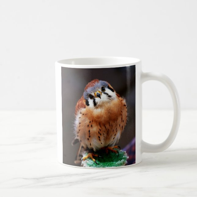 Caneca De Café Kestrel curioso (Direita)