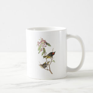 Caneca De Café Kinglet Rubi-coroado por Audubon