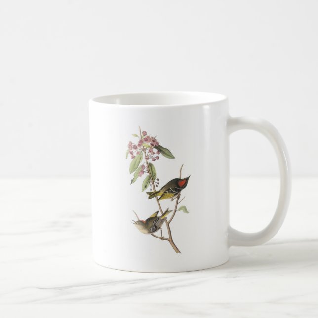 Caneca De Café Kinglet Rubi-coroado por Audubon (Direita)