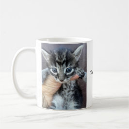 Caneca De Café Kitten Mug, Procrastinator Mug, Funny Mug