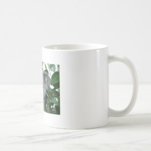 Caneca De Café Koala bonito