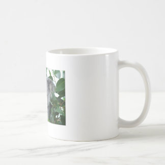 Caneca De Café Koala bonito