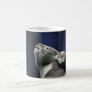 Caneca De Café Koala bonito que olha acima na maravilha