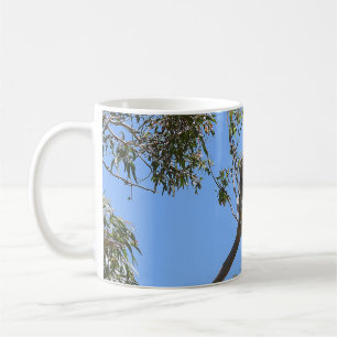 Caneca De Café Koala Nap