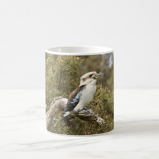 Caneca De Café Kookaburra (Centro)