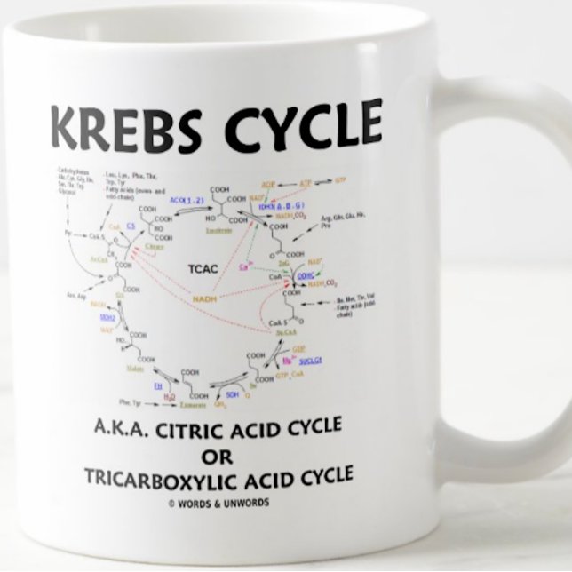 Caneca De Café Krebs Cycle A.K.A. Ciclo Ácido Cítrico Tricarboxíl (Biochemistry attitude mug for any Krebs cycle fan)