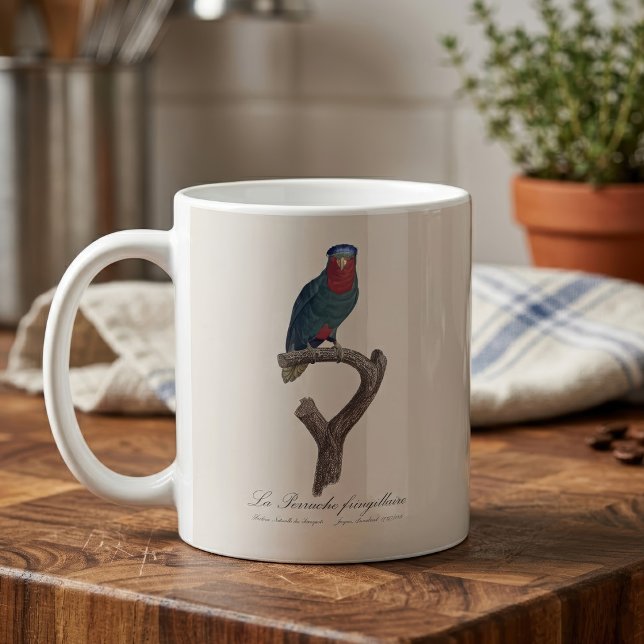Caneca De Café La Perruche fringillaire (Blue-Crowned Lorikeet, Vini Australis. Coffee Mug)