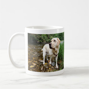 Caneca De Café Labrador Amarelo, Retriever, Dose