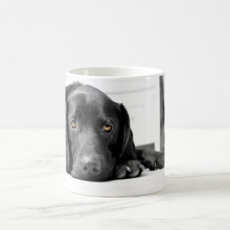 Caneca De Café Labrador preto