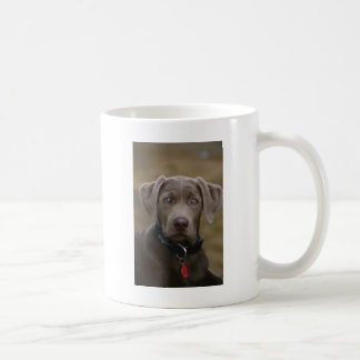 Caneca De Café Labrador retriever na prata clara rara