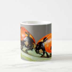 Caneca De Café Lady Bugs White Coffee Mug