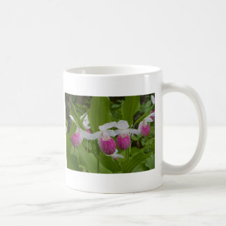 Caneca De Café ladyslipper