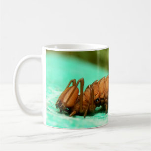 Caneca De Café Lagosta Inseto de lagartas