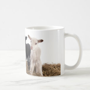 Caneca De Café lamb