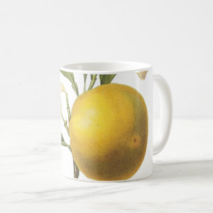 Caneca De Café laranja(Citrus sp.) por Redouté Coffee Mug