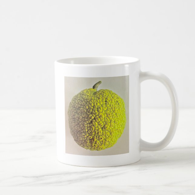 Caneca De Café Laranja de Osage (Direita)