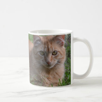Caneca De Café Laranja do gato de gato malhado