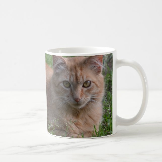 Caneca De Café Laranja do gato de gato malhado (Direita)