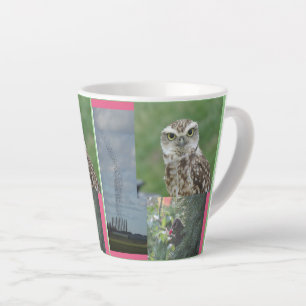 Caneca De Café Latte Amido, Coruja e Colagem de Birdswarm Latte Mug