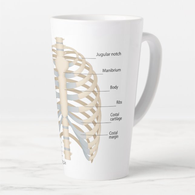 Caneca De Café Latte Anatomia do peito humano (Ângulo direito)