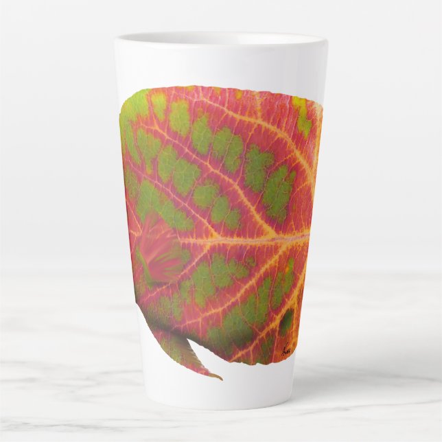Caneca De Café Latte Aspen Peixe Tropical 1 (Frente)