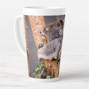 Caneca De Café Latte Bela coala
