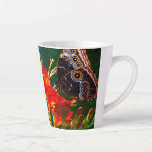 Caneca De Café Latte Borboleta azul-morfos em flores de Crocosmia Lucif
