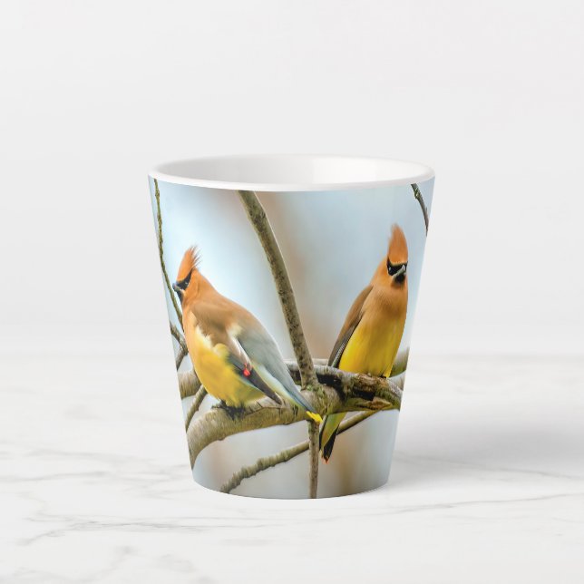 Caneca De Café Latte Cedar Waxwing - Foto Original (Frente)