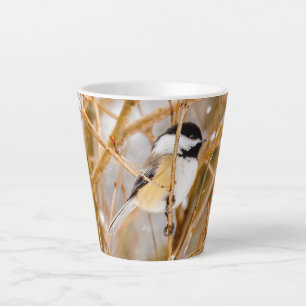 Caneca De Café Latte Chapim-de-cabeça-preta - Fotografia Original