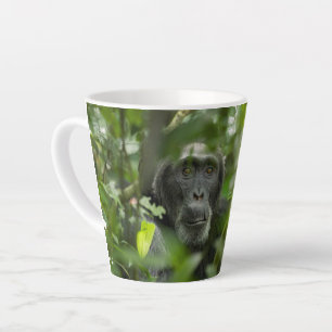 Caneca De Café Latte Chimpanzé Escondido Entre a Vegetação
