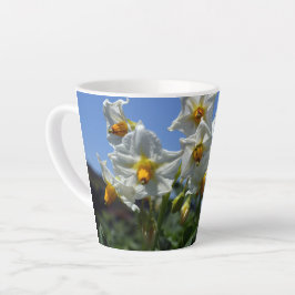 Caneca De Café Latte Flores de amido Solanum tuberosum