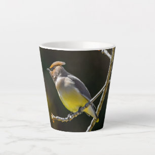 Caneca De Café Latte Foto Original de Ave Selvagem de Ampelinha-cinza C