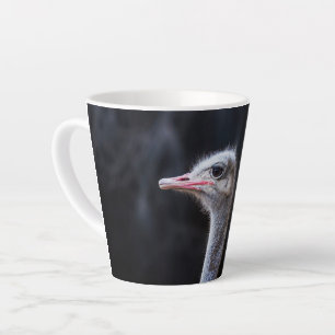 Caneca De Café Latte Fotografia de Avestruz