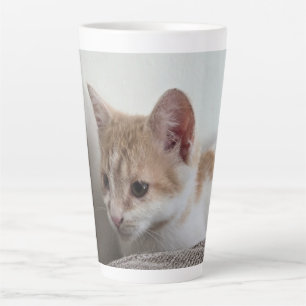 Caneca De Café Latte Gatinho Ruivo e Branco