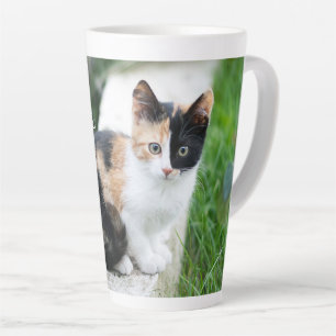 Caneca De Café Latte Gato Fantasma da Ópera
