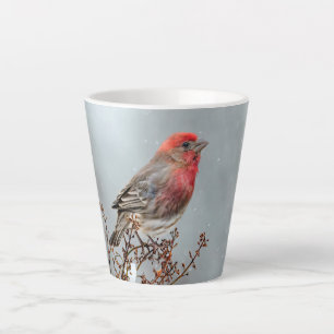 Caneca De Café Latte House Finch in Snow - Foto original