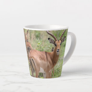 Caneca De Café Latte Impala no Delta do Okavango