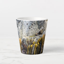 Caneca De Café Latte Jovem Selo De Peles Na Rocha