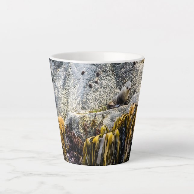 Caneca De Café Latte Jovem Selo De Peles Na Rocha (Frente)