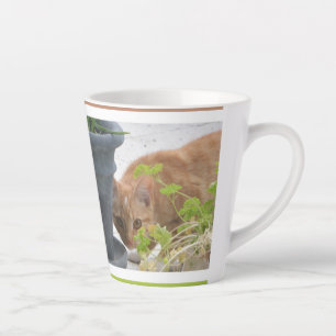 Caneca De Café Latte Lata Vermelha de Gato Escondida
