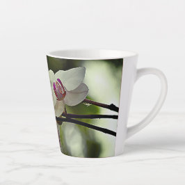 Caneca De Café Latte Latte Mug na Florida Orchid