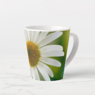 Caneca De Café Latte Margarida Branca de Oxeye - Leucanthemum vulgare