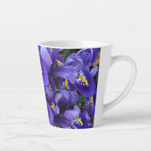 Caneca De Café Latte Miniatura Azul Levanta Primavera Floral