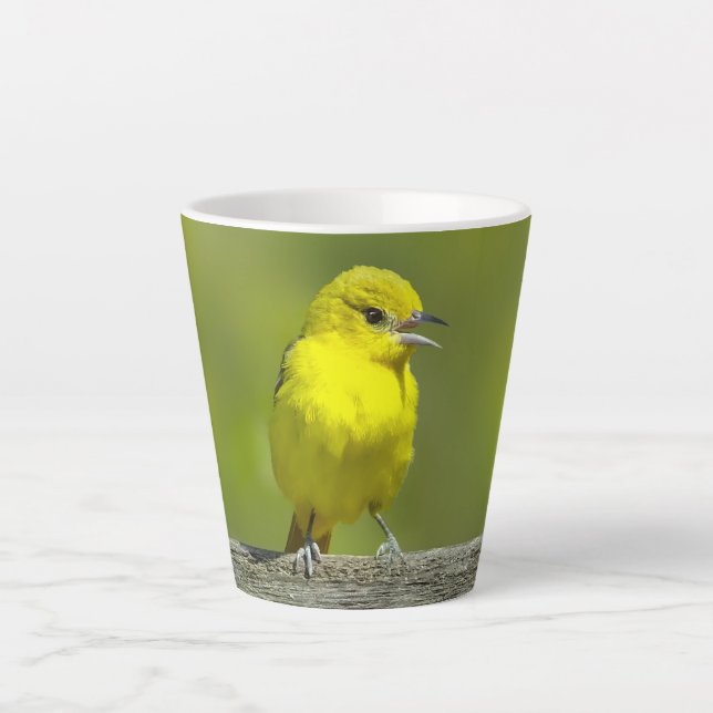 Caneca De Café Latte Orchard Oriole - Fotografia original (Frente)