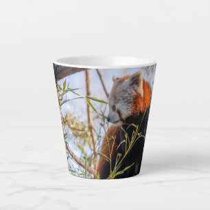 Caneca De Café Latte Panda vermelha