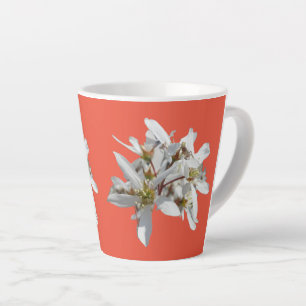 Caneca De Café Latte Pó do Flor de Elevação. Lata Vermelha Laranja