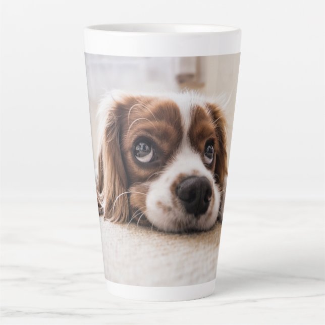 Caneca De Café Latte Presente de Foto de Cachorro Gato (Frente)