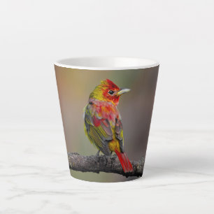 Caneca De Café Latte Scarlet Tanager Molting - Fotografia original