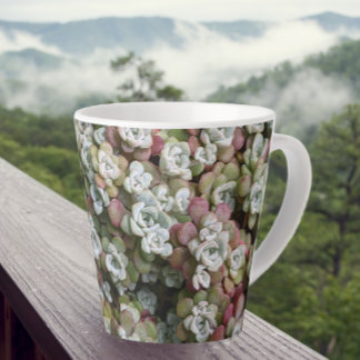 Caneca De Café Latte Sedum Spathulifolium Succulium Floral