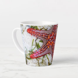 Caneca De Café Latte Starfish, Zanzibar, Tanzânia